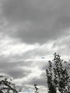 La tarde gris